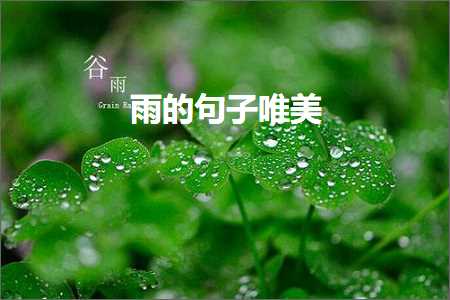 网站优化及推广方案 雨的句子唯美（文案615条）